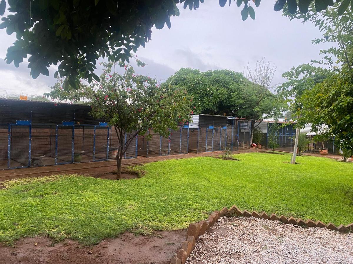 El-Kole Bed And Breakfast Tsumeb Buitenkant foto